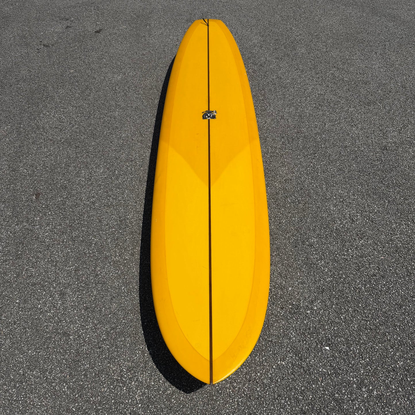 Eric Christiensen Einstein | 9'4