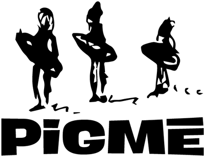 Pigmé | 6'0" X 22" X 2 1/2" (38.4L)